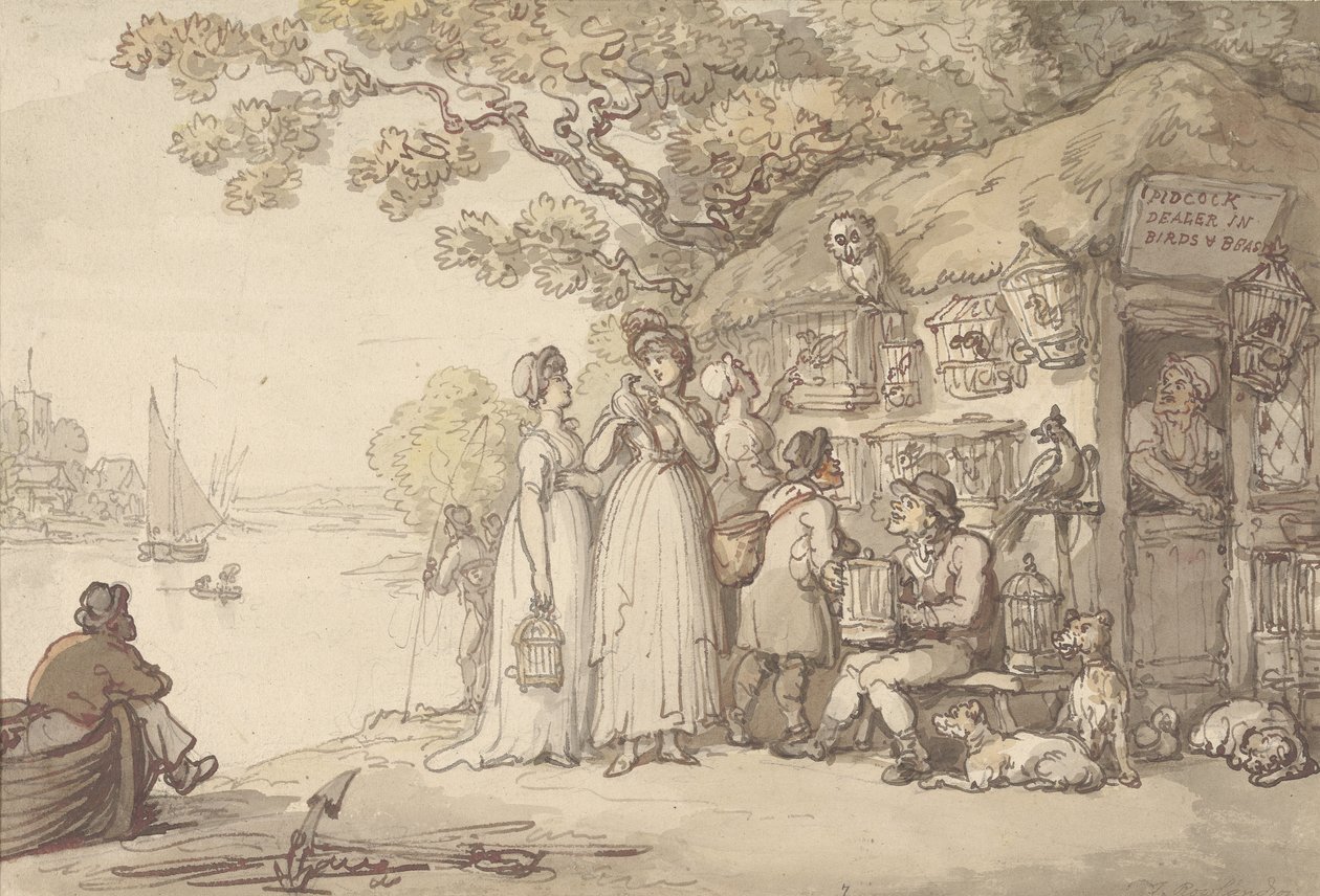 Pidcock, commerciante di uccelli e bestie da Thomas Rowlandson
