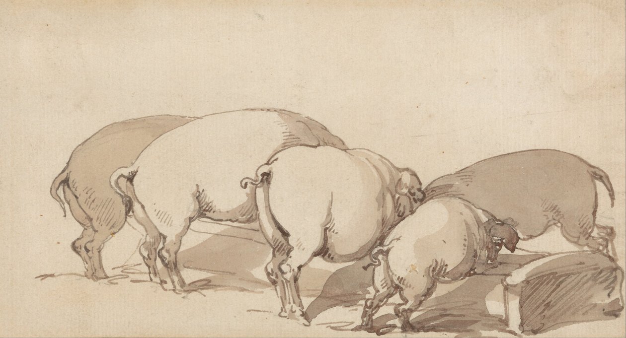 Maiali a un trogolo da Thomas Rowlandson
