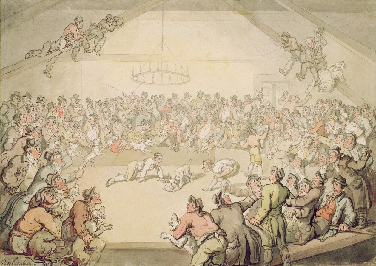 La lotta dei cani da Thomas Rowlandson