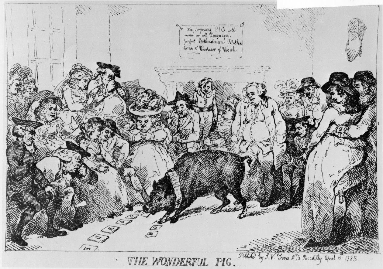 Il maiale meraviglioso, 1785 da Thomas Rowlandson