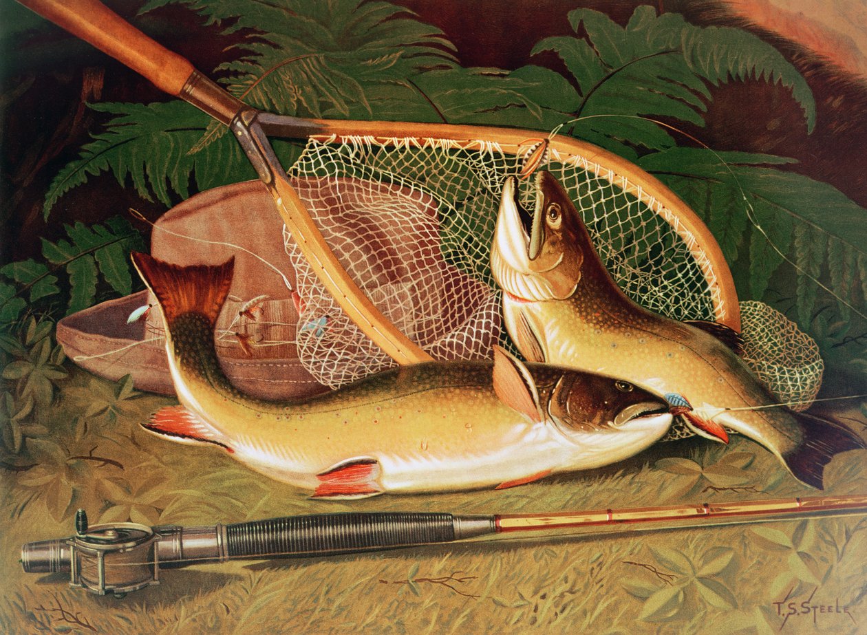 Natura morta con una trota salmonata, una canna e una rete da Thomas Sedgwick Steele