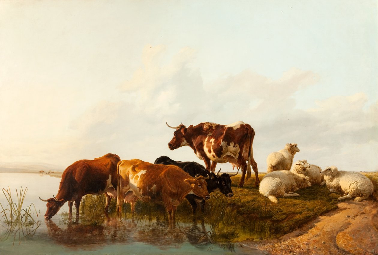 Un pomeriggio d