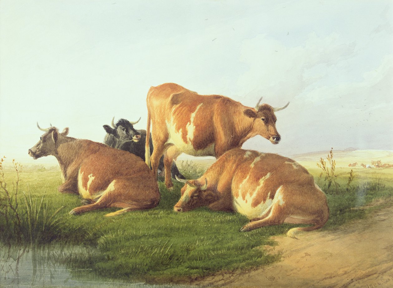 Bovini in un paesaggio da Thomas Sidney Cooper