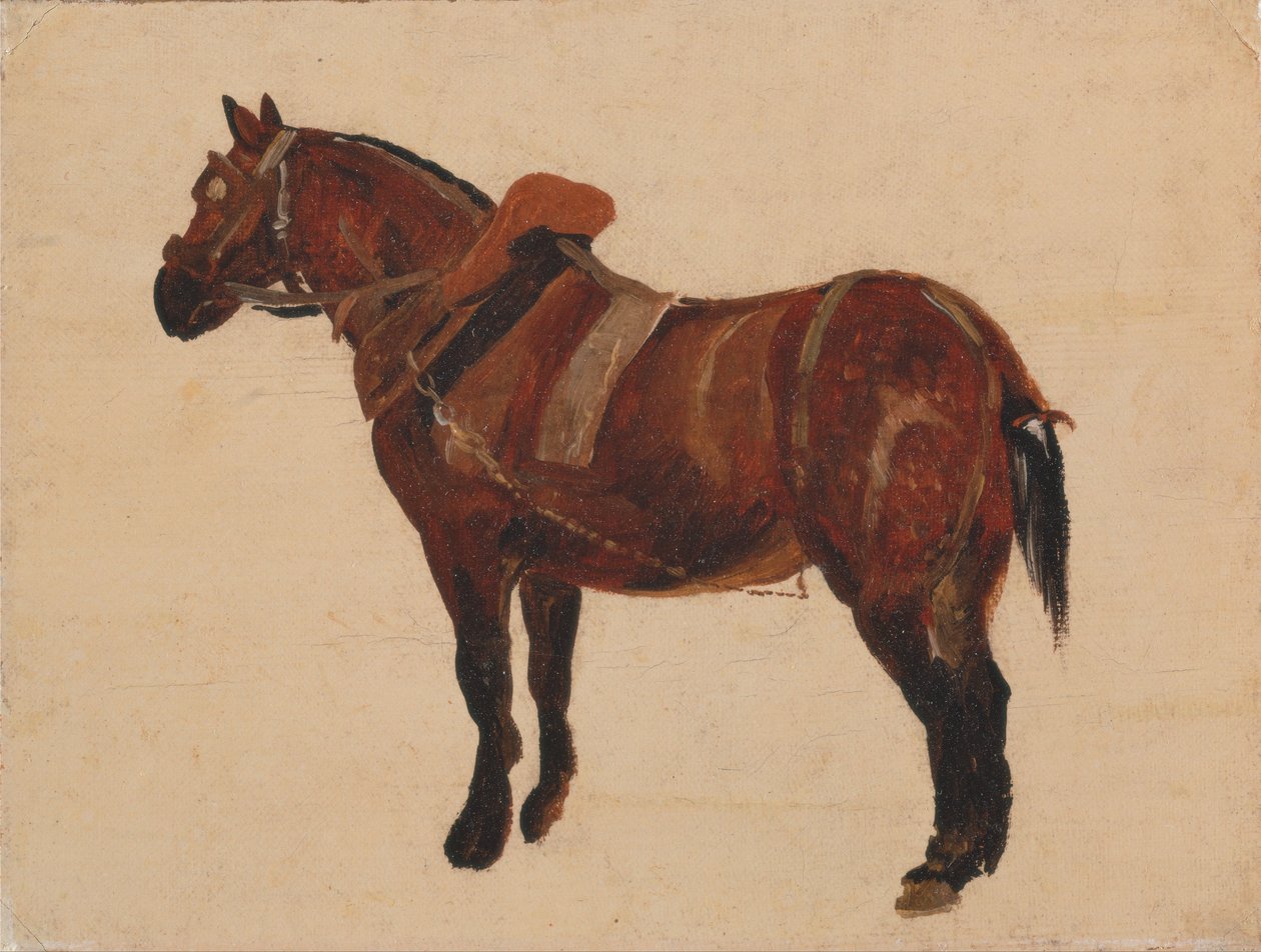 Studio di un cavallo da lavoro da Thomas Sidney Cooper
