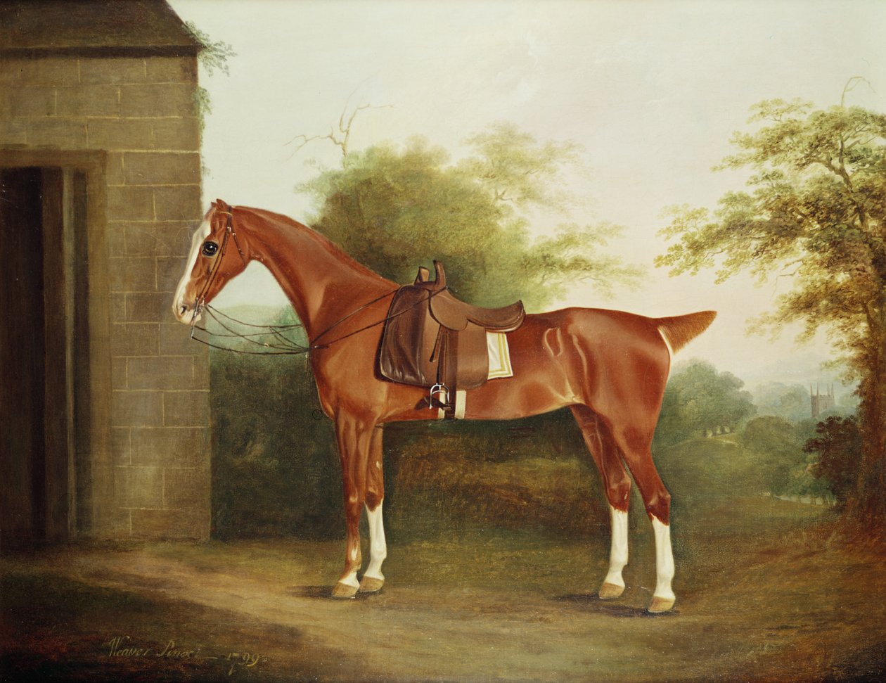 Cavallo con sella laterale da Thomas Weaver
