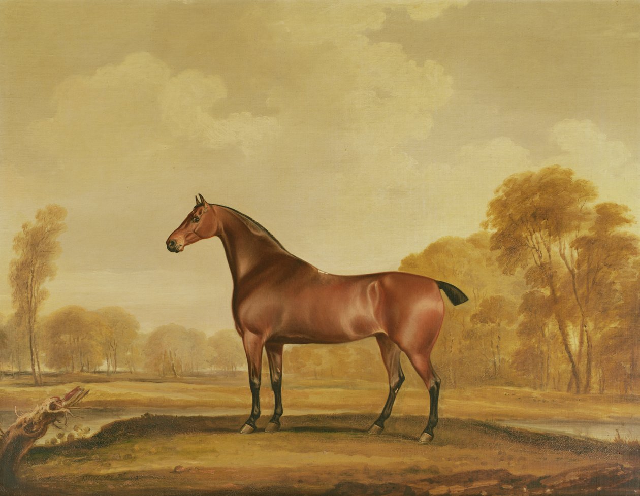 Zillah da Thomas Weaver