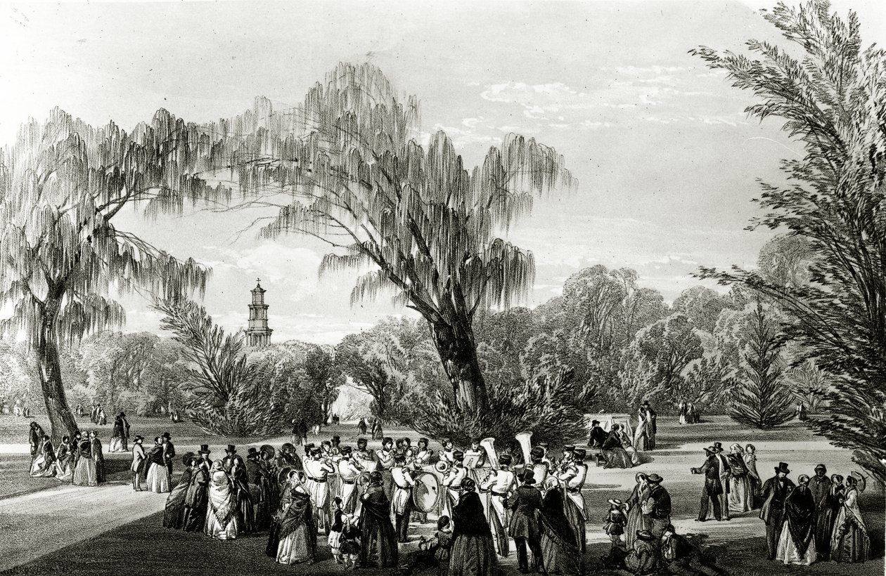 Giardini Botanici, Città del Capo, stampa di W. Simpson, c.1850 da Thomas William Bowler