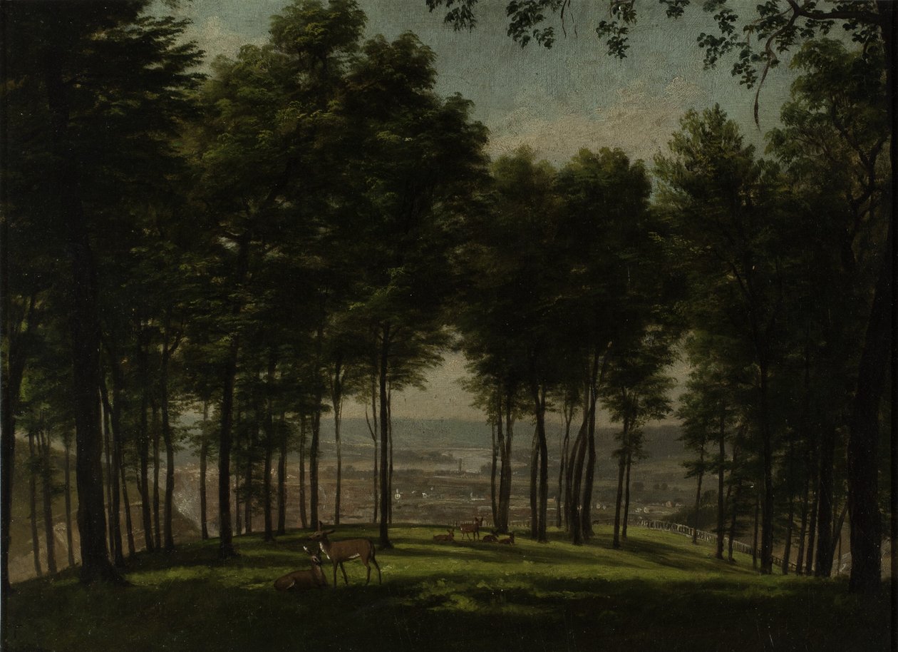 Mount Storm Park, Cincinnati, 1840 da Thomas Worthington Whittredge