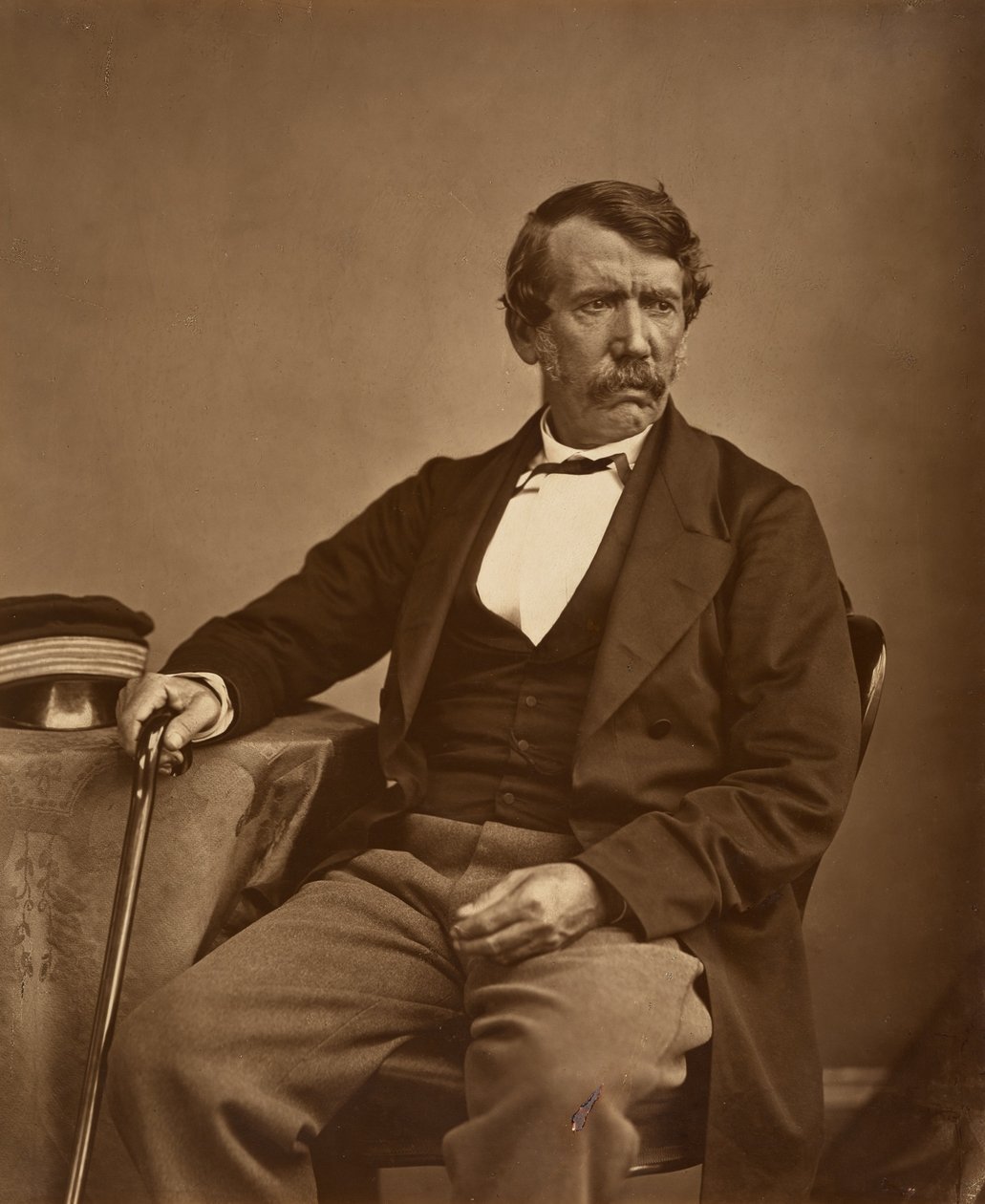 David Livingstone di Thomas Annan - Originale da Thomas Annan