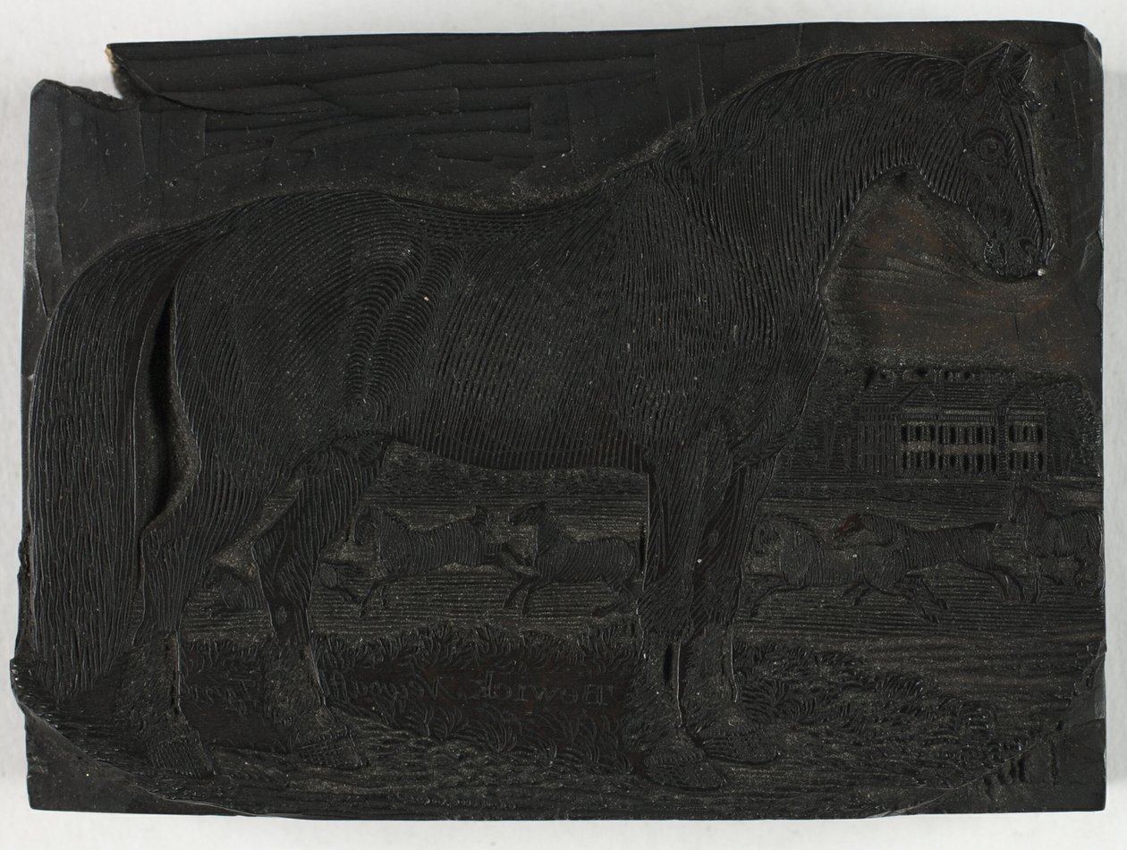 Tavoletta per La Cavalla Nera, da una Storia Generale dei Quadrupedi da Thomas Bewick