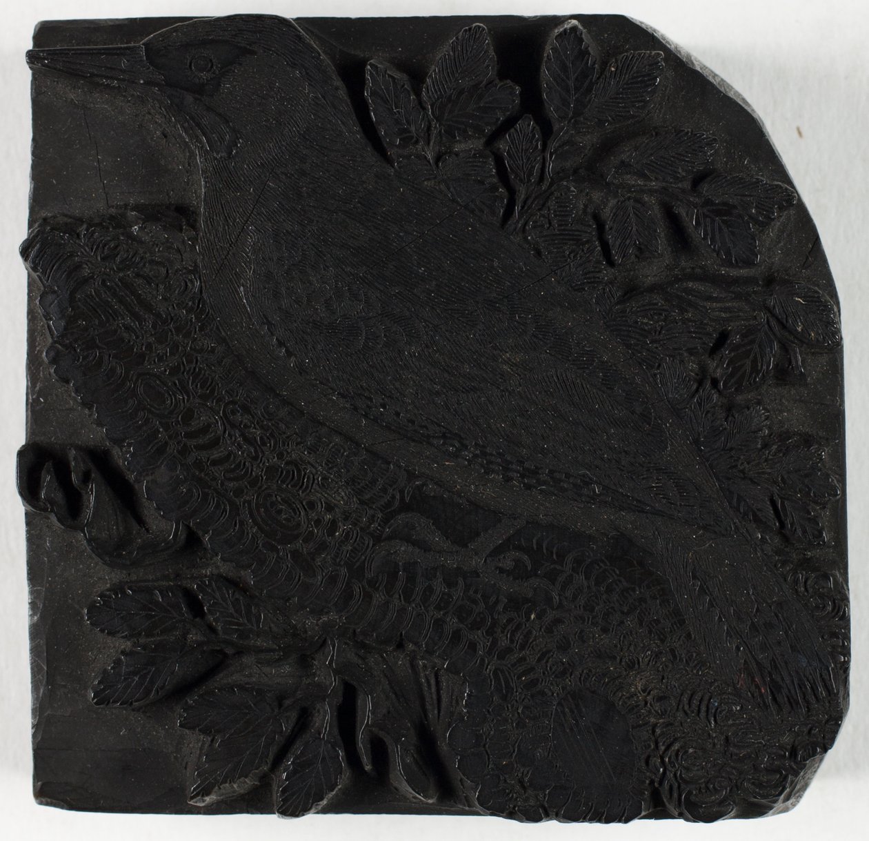 Blocco di legno per Il picchio verde, da Una storia degli uccelli britannici da Thomas Bewick