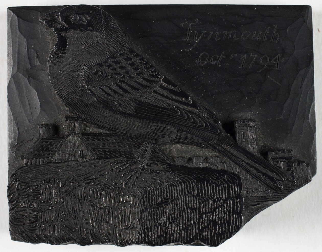 Blocco di legno per «Il passero», da Una storia degli uccelli britannici da Thomas Bewick