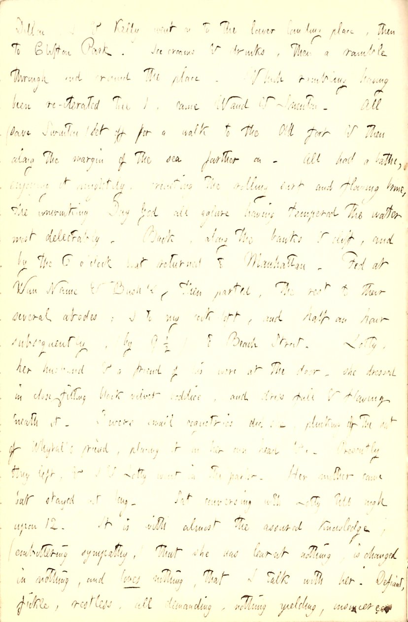 Diari di Thomas Butler Gunn - Volume 5, pagina 211, 5 giugno 1853 da Thomas Butler Gunn