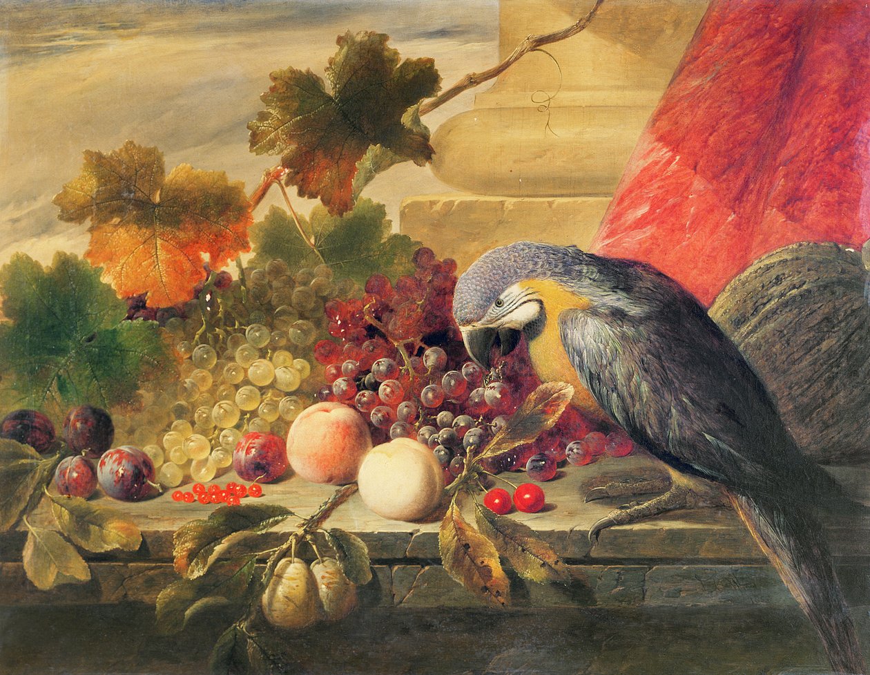 Immagine sconosciuta da Thomas C. Ward