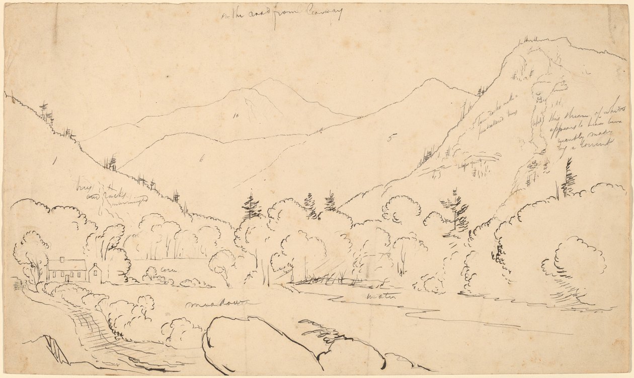 Sulla strada da Conway da Thomas Cole