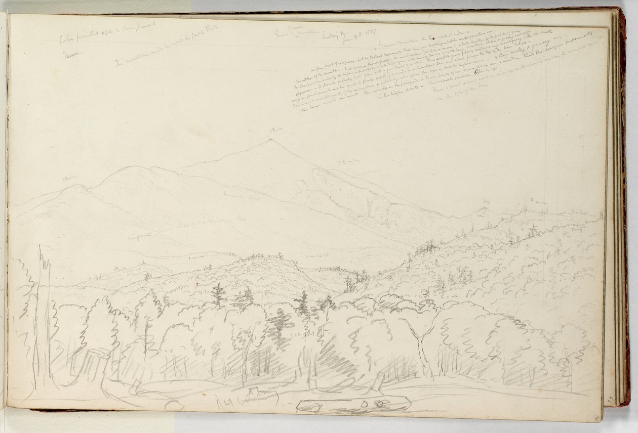 Veduta del Monte Schroon guardando a nord, 28 giugno da Thomas Cole