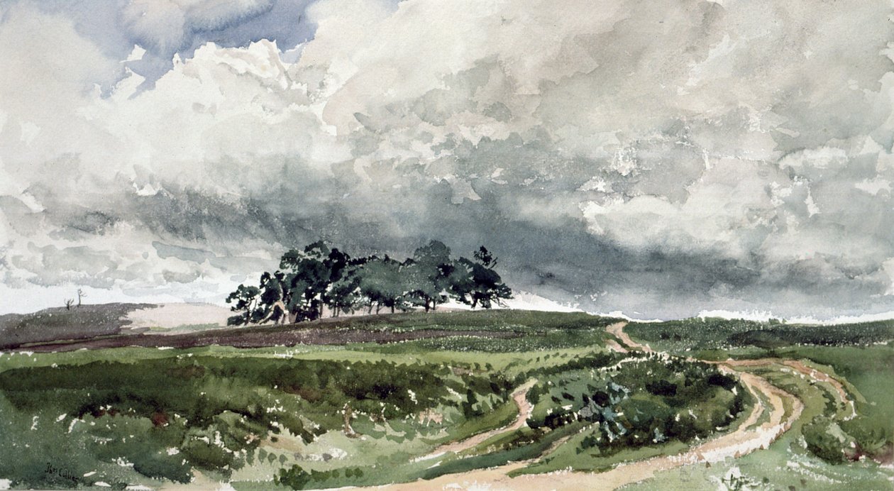 Scena di brughiera da Thomas Collier