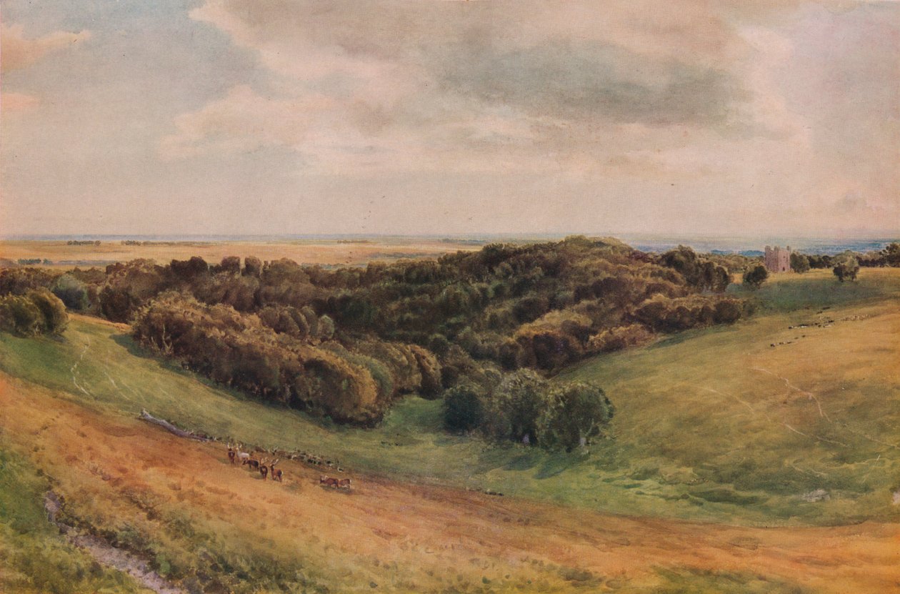 Parco di Arundel, 1874 da Thomas Collier