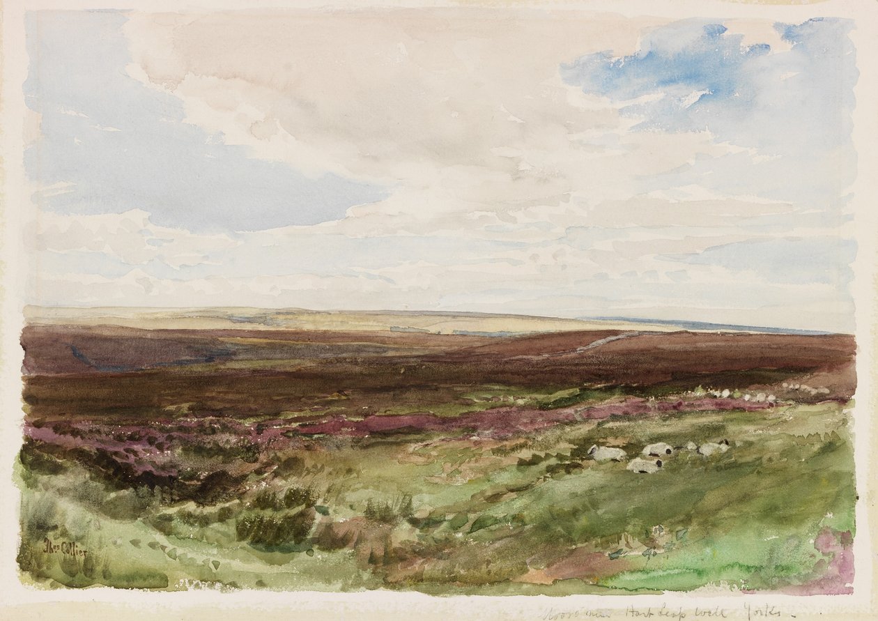Brughiera vicino a Hart Leap Well, Yorkshire da Thomas Collier