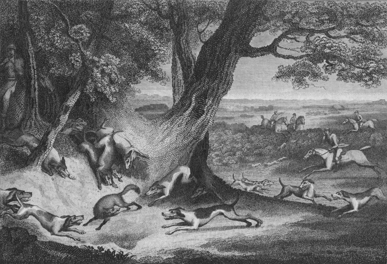 La morte della volpe, 1793 da Thomas Cook