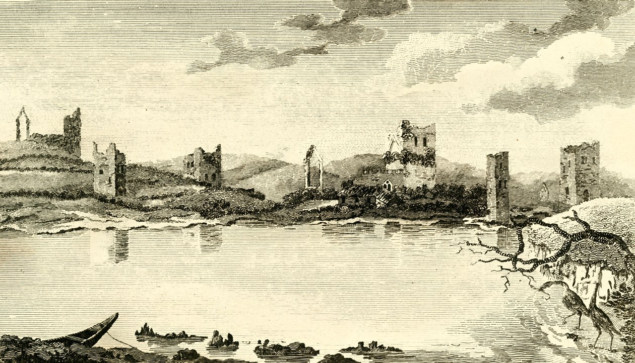 Vista delle rovine di Clomines, Co. Wexford, 1791 da Thomas Cook