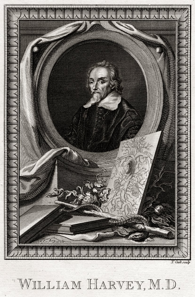 William Harvey, 1777 da Thomas Cook