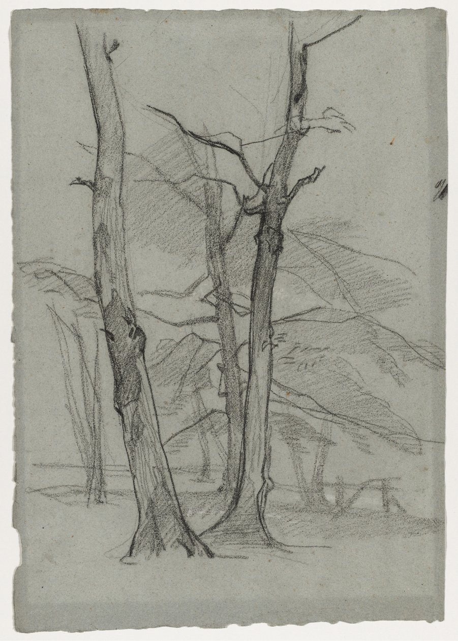 Studio paesaggistico con alberi, c. 1870-1875 da Thomas Couture
