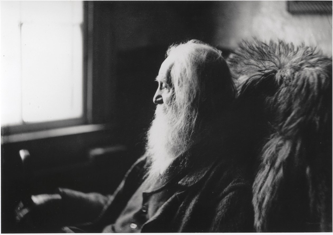 Walt Whitman a Camden, N.J., 1891 circa (stampa all