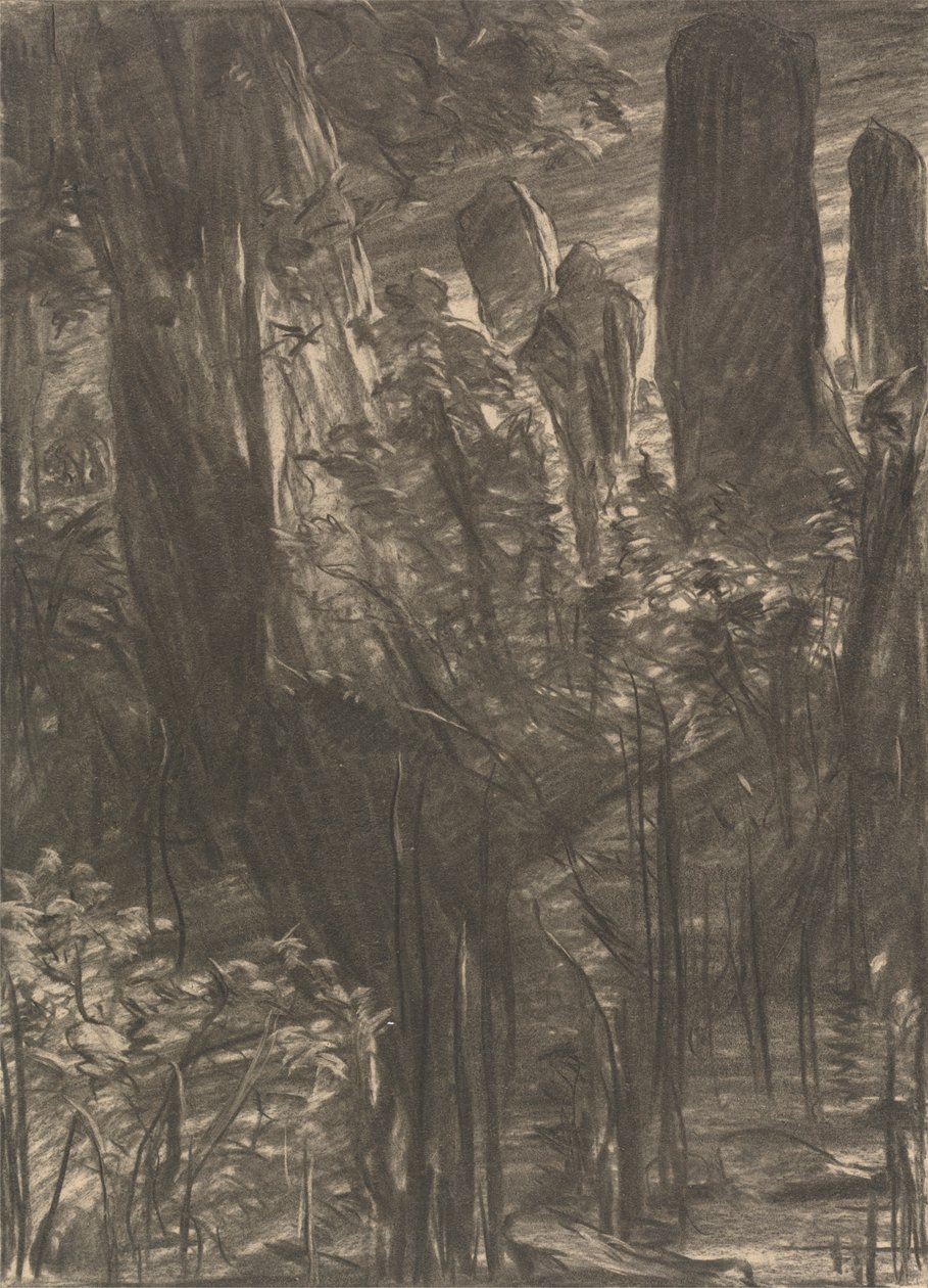 Un boschetto di alberi da Thomas Dalziel