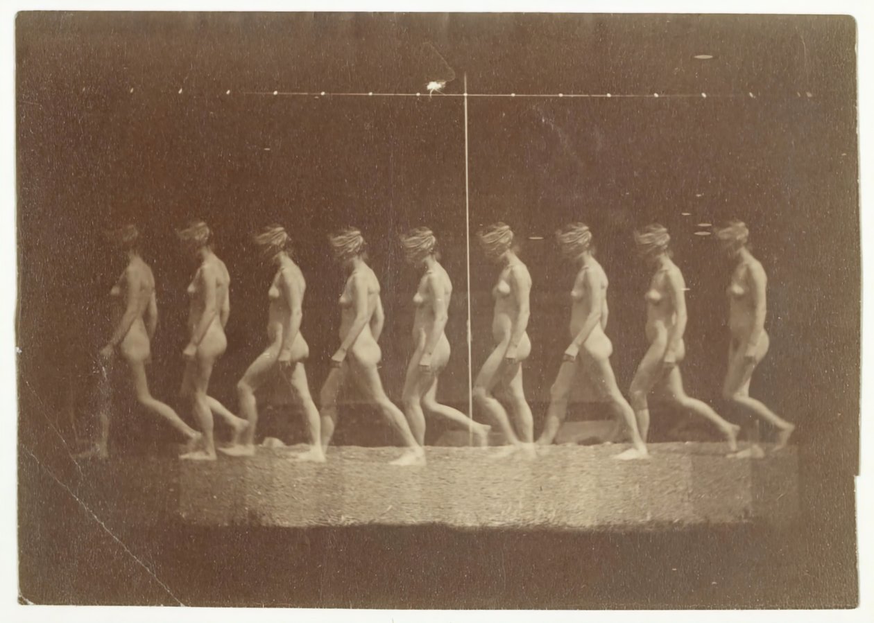 Fotografie di Marey Wheel di modello non identificato da Thomas Eakins
