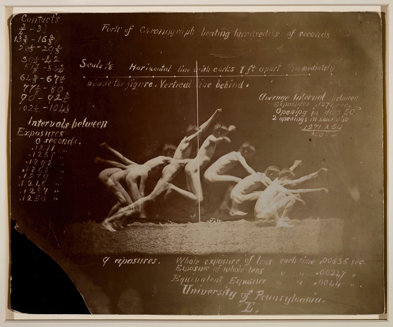 Fotografie della ruota di Marey di modello non identificato, con annotazioni di Eadweard Muybridge da Thomas Eakins