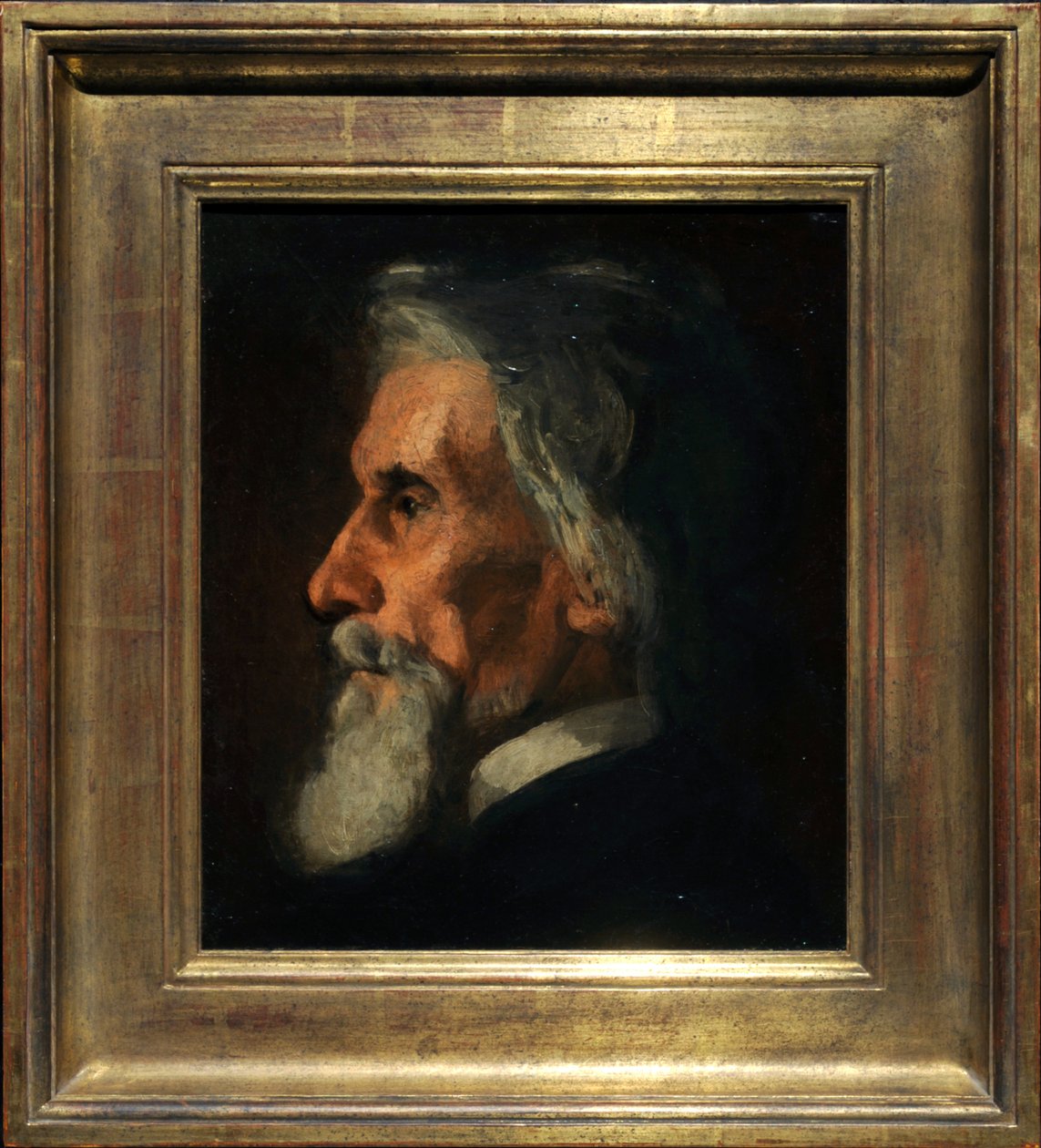 Ritratto di William Mac Dowell da Thomas Eakins