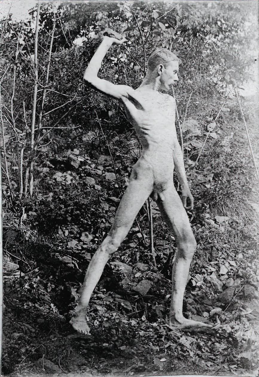 Lanciatore di rocce, c. 1883 da Thomas Eakins