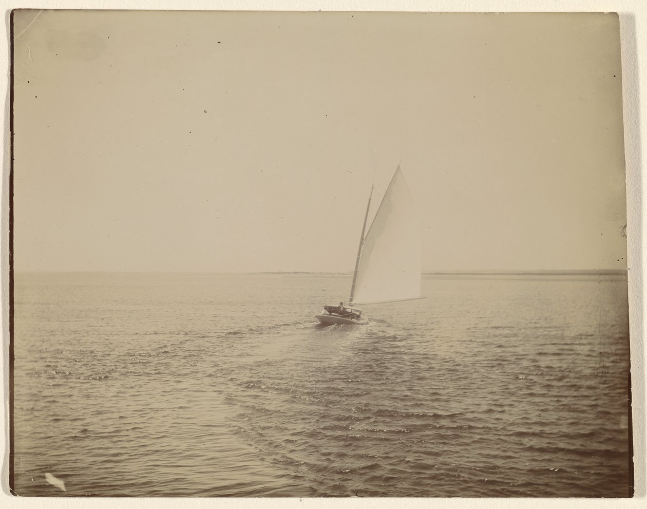 [Barca a vela] da Thomas Eakins