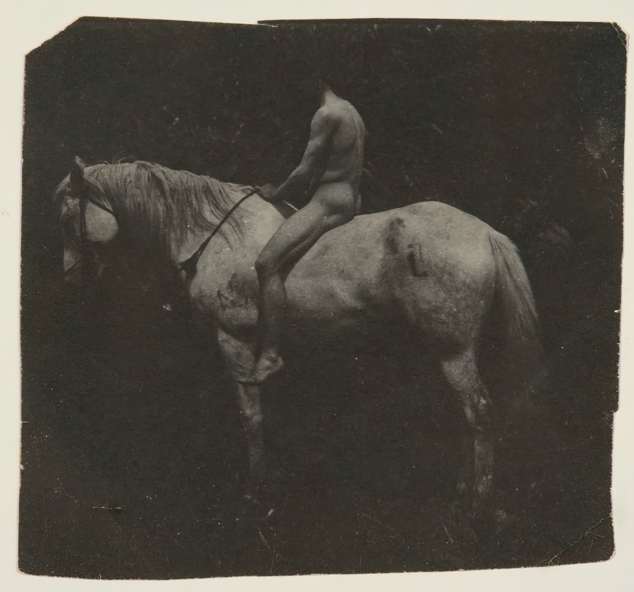 Samuel Murray a cavallo di Billy di Eakins, c. 1892 da Thomas Eakins