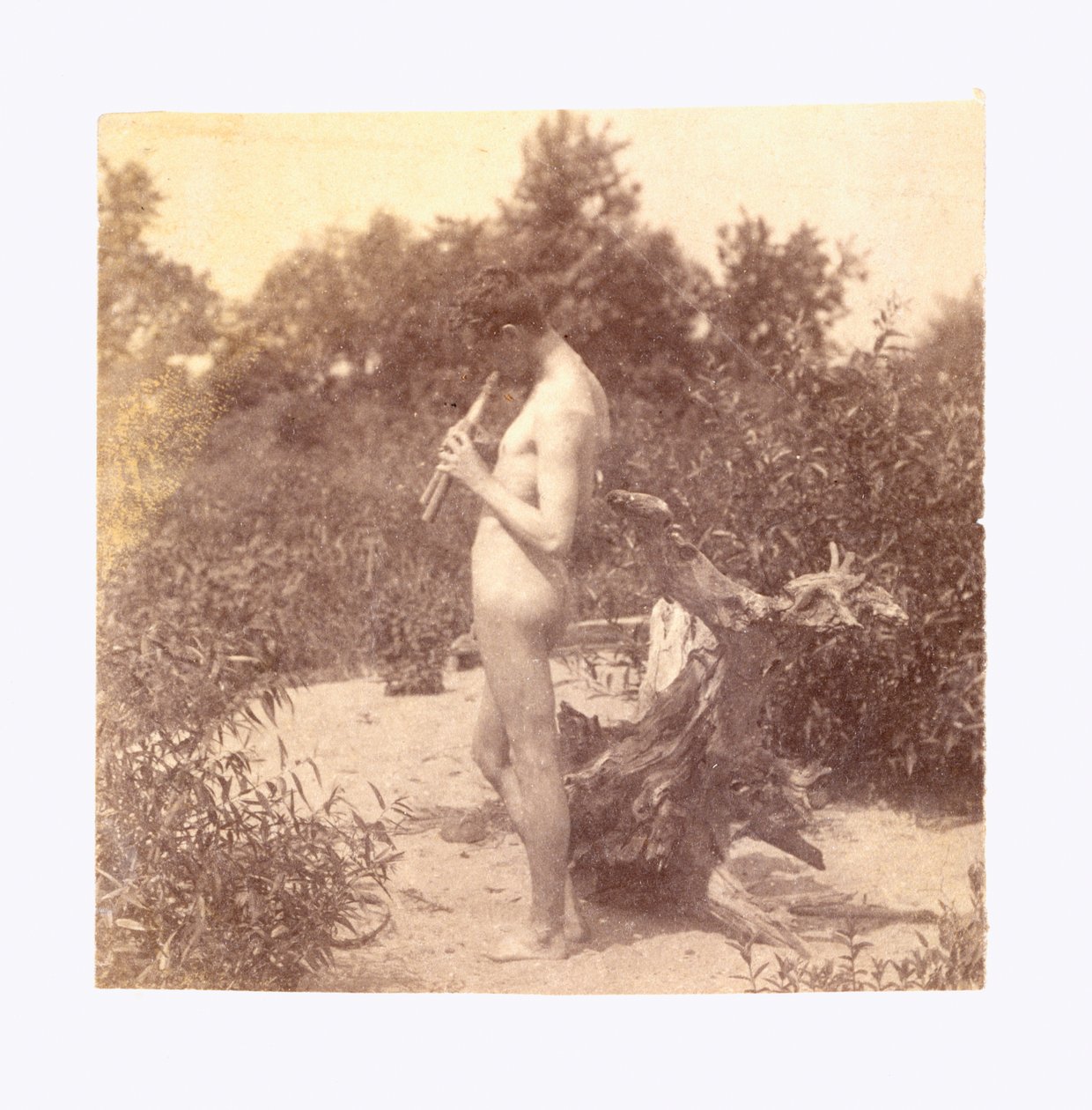 Stehender Pfeifer (Studie für "Arkadia") da Thomas Eakins
