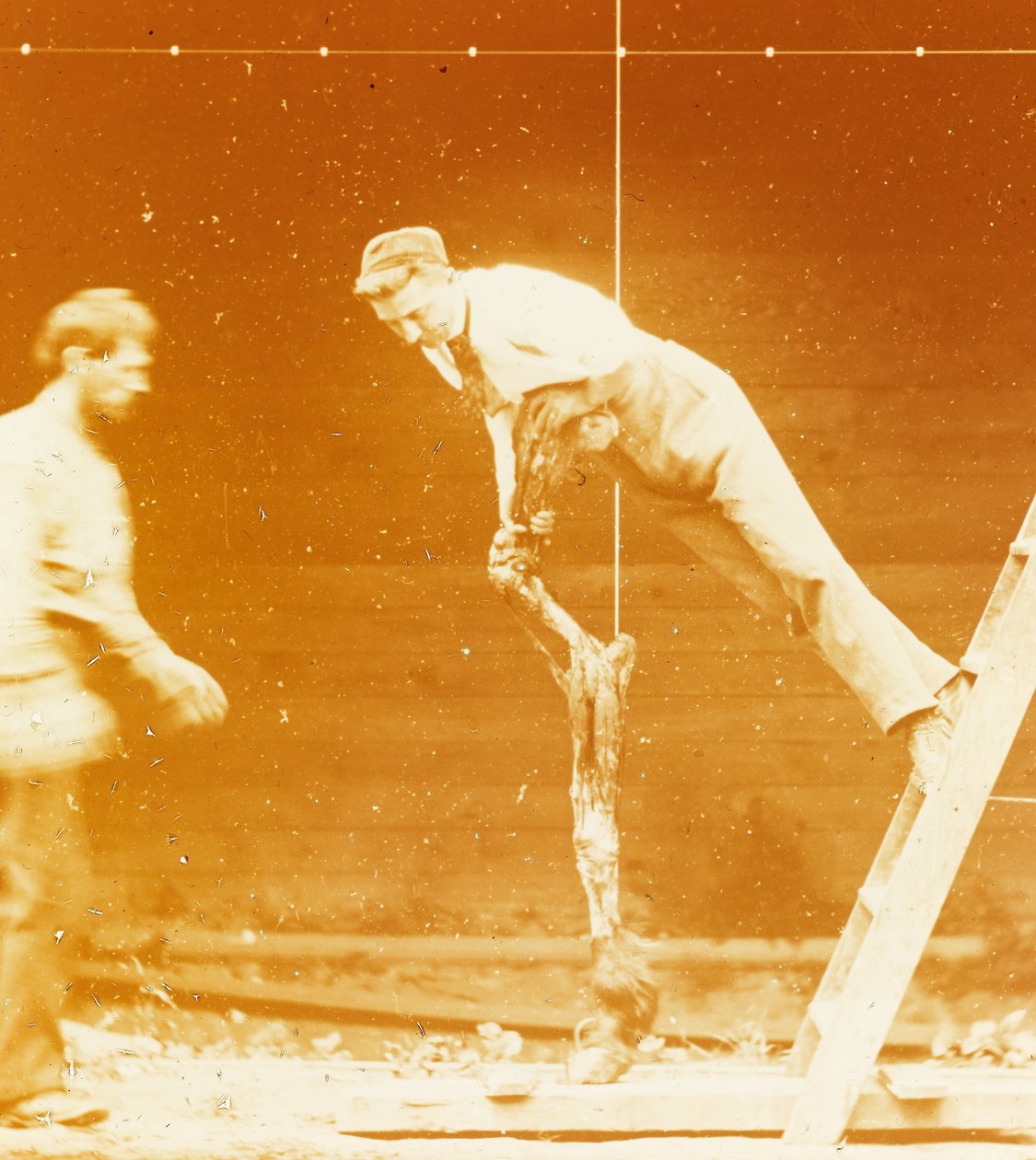 [Studie der Muskelaktion: Junger Mann lehnt an einem Pferdebein] da Thomas Eakins