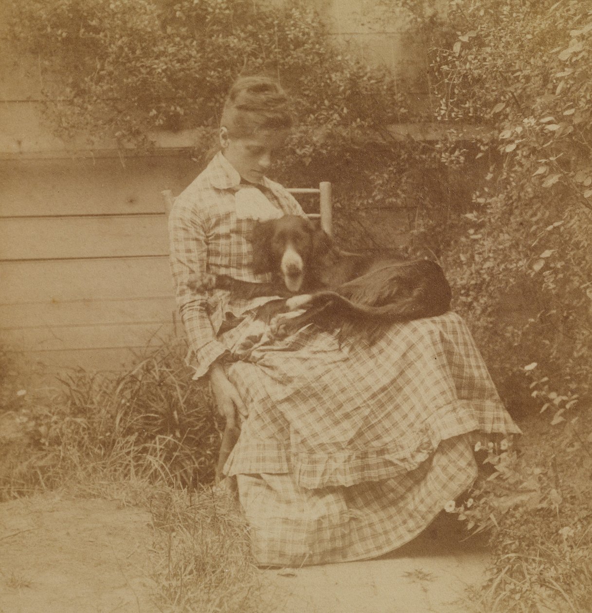 [Susan Macdowell (in seguito signora Thomas Eakins) con un setter] da Thomas Eakins