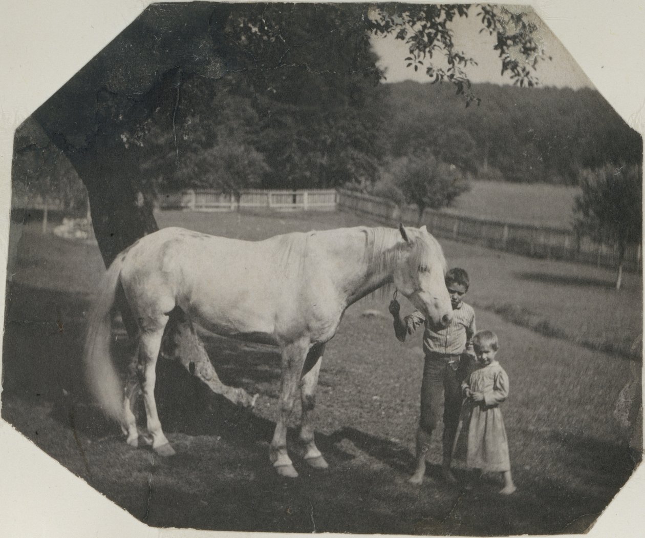 [Il cavallo Billy di Thomas Eakins e due bambini Crowell ad Avondale, Pennsylvania] da Thomas Eakins
