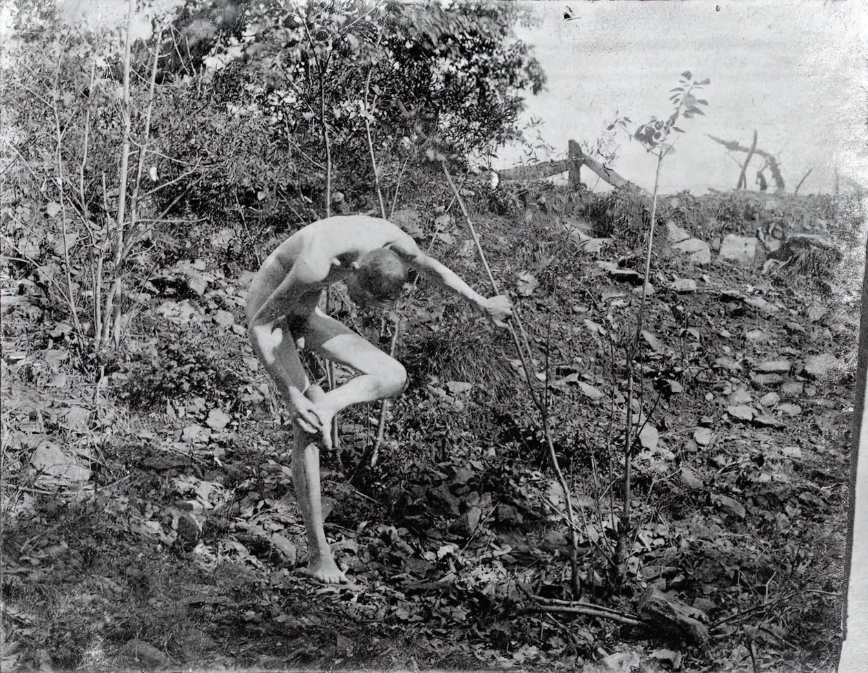 Il tiratore di spine da Thomas Eakins