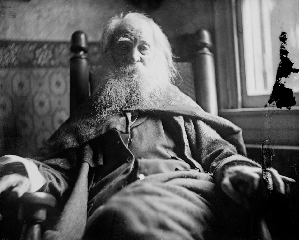 Walt Whitman a Camden, nel New Jersey da Thomas Eakins