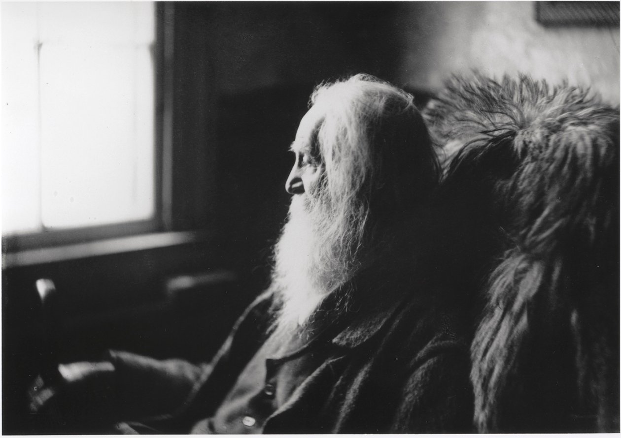 Walt Whitman a Camden, nel New Jersey da Thomas Eakins
