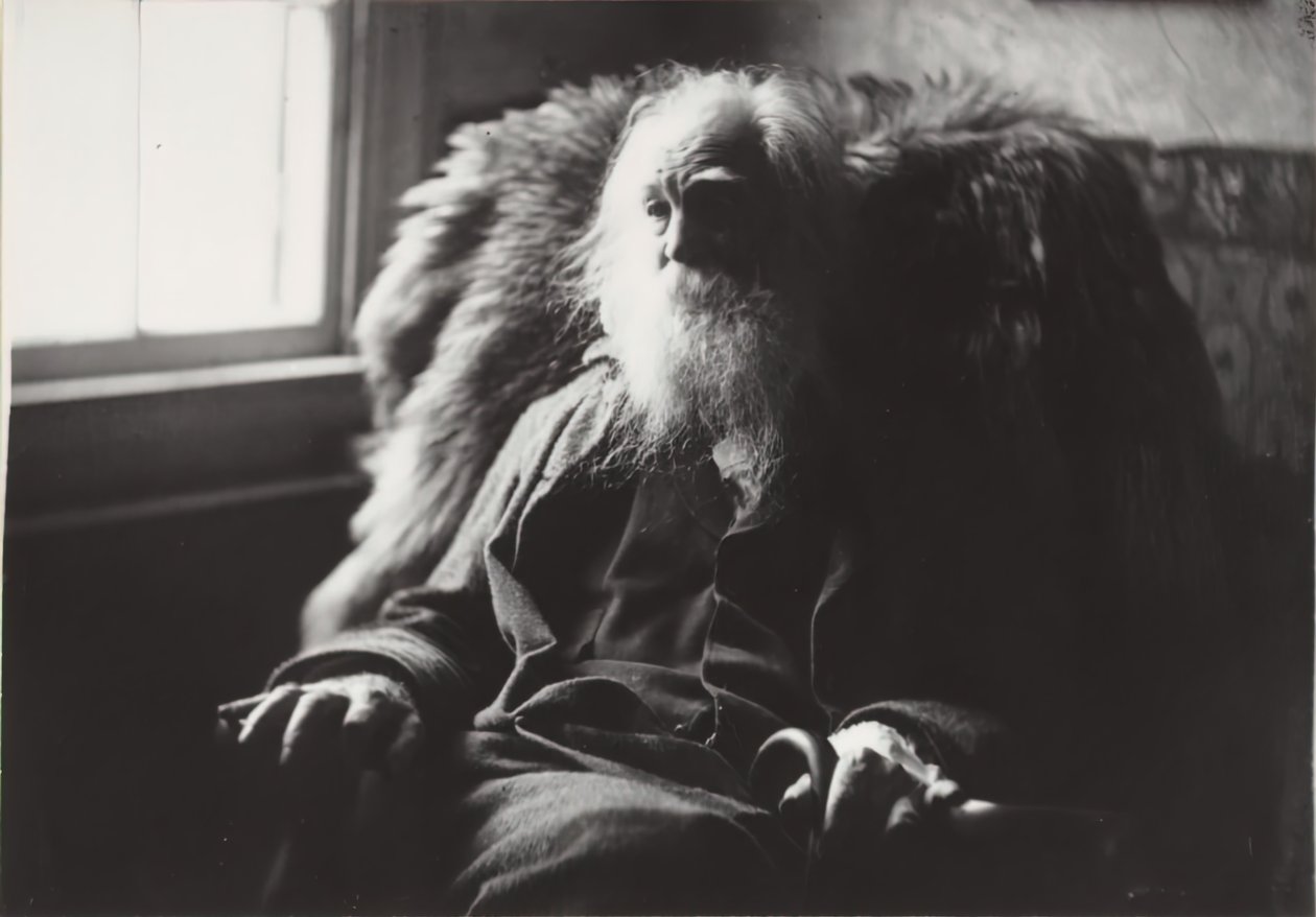 Walt Whitman a Camden, N.J. da Thomas Eakins