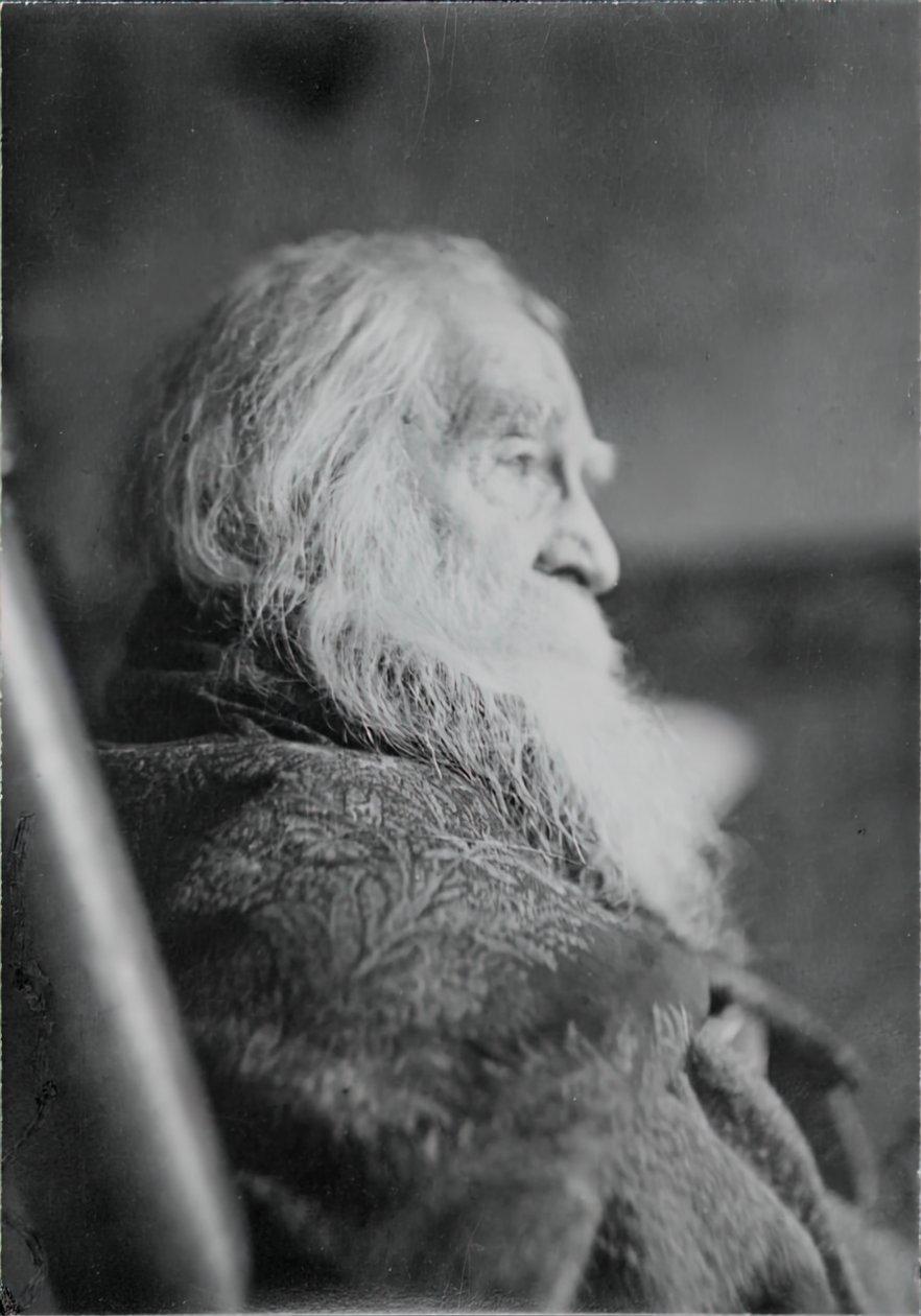 Walt Whitman a Camden, N.J., c1891 da Thomas Eakins