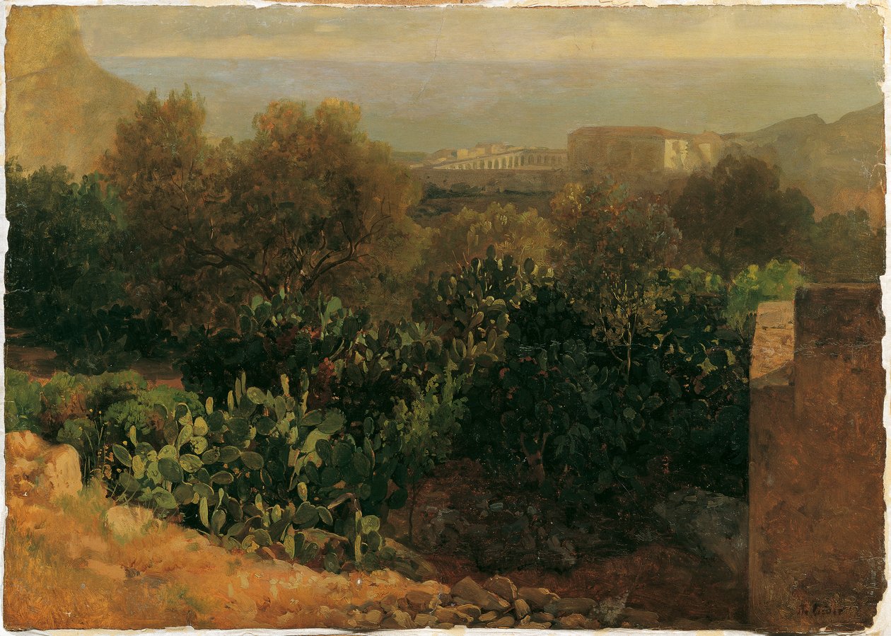 Paesaggio meridionale con cactus da Thomas Ender