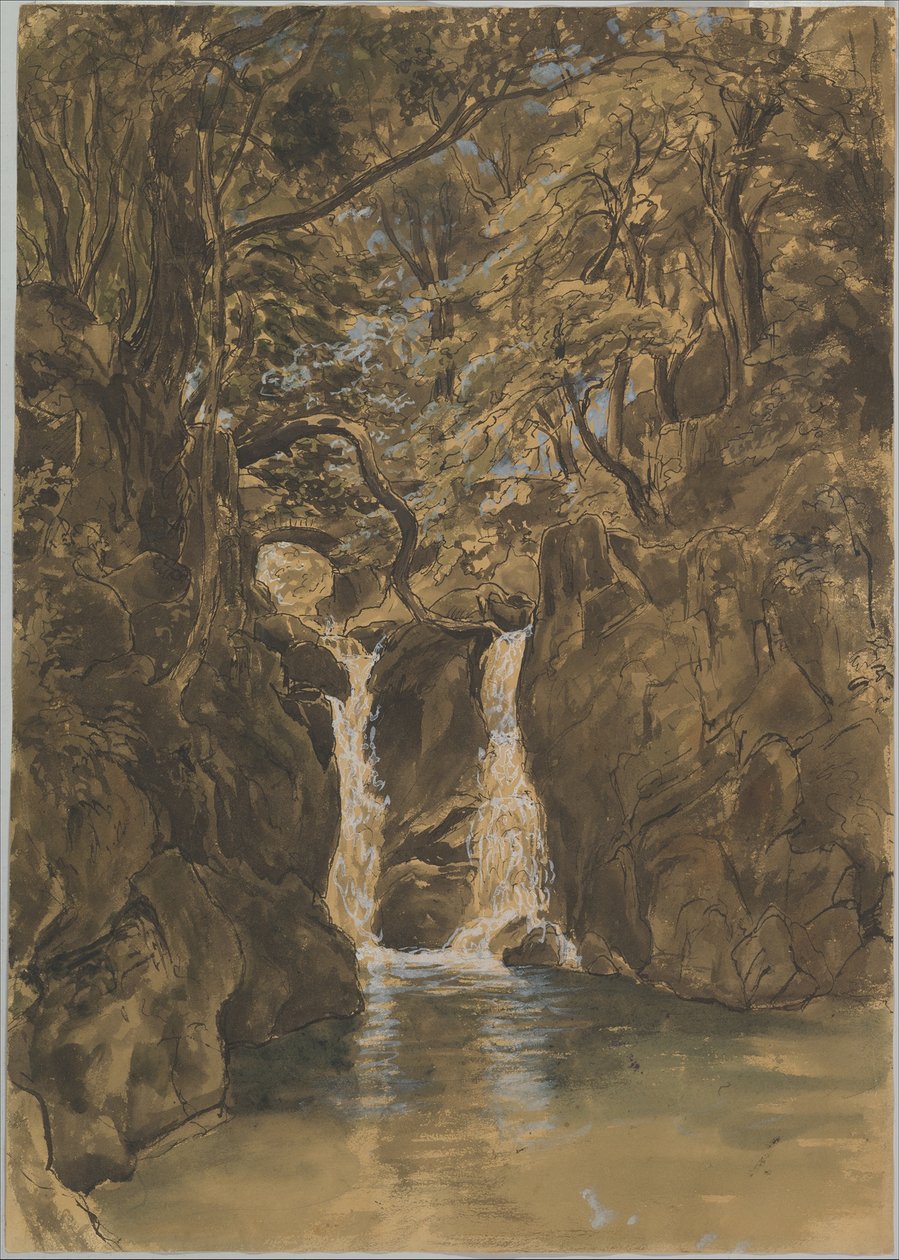 Veduta delle cascate inferiori di Rydal, Cumbria da Thomas Fearnley