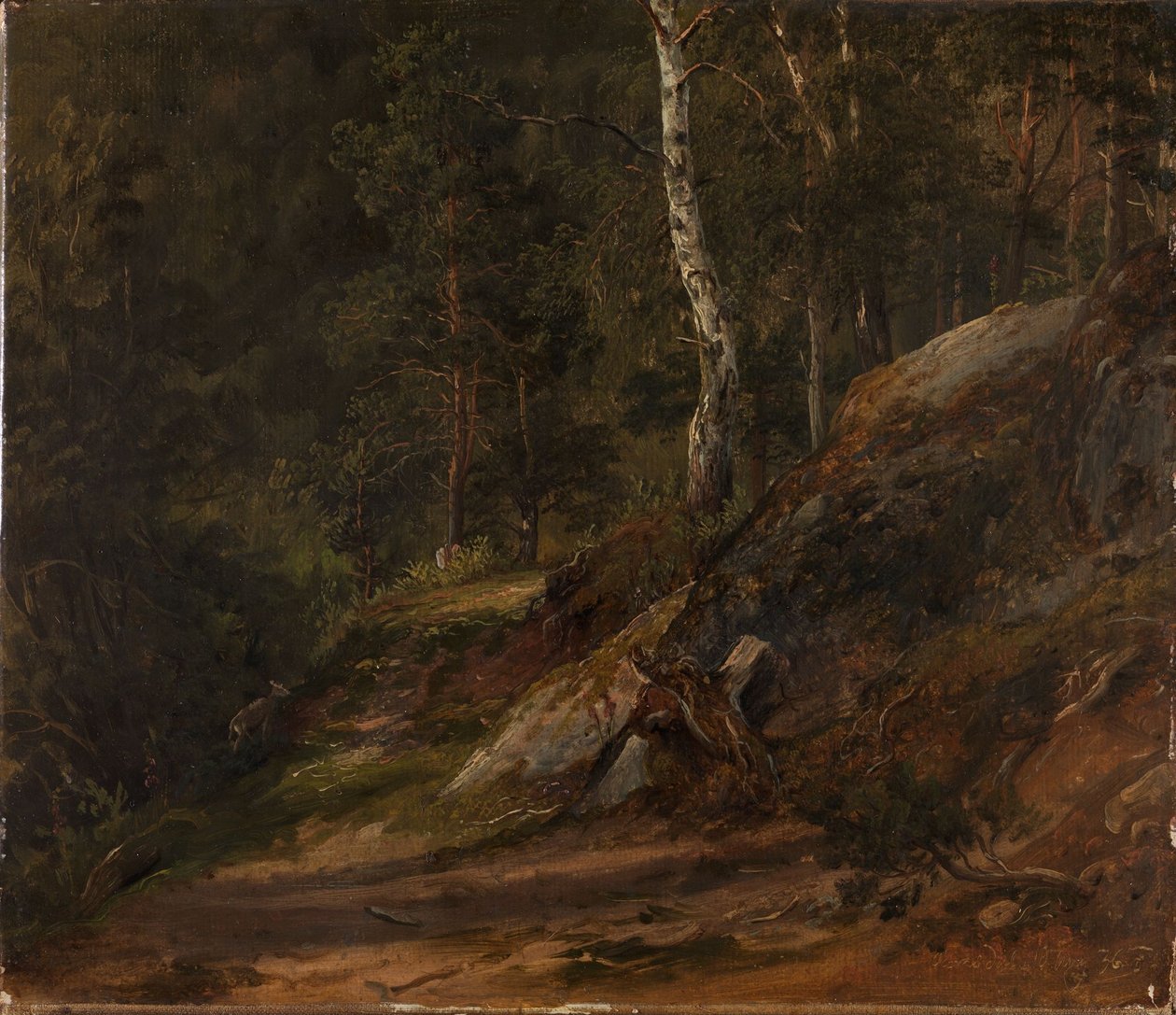 Studio forestale dal Romsdal da Thomas Fearnley