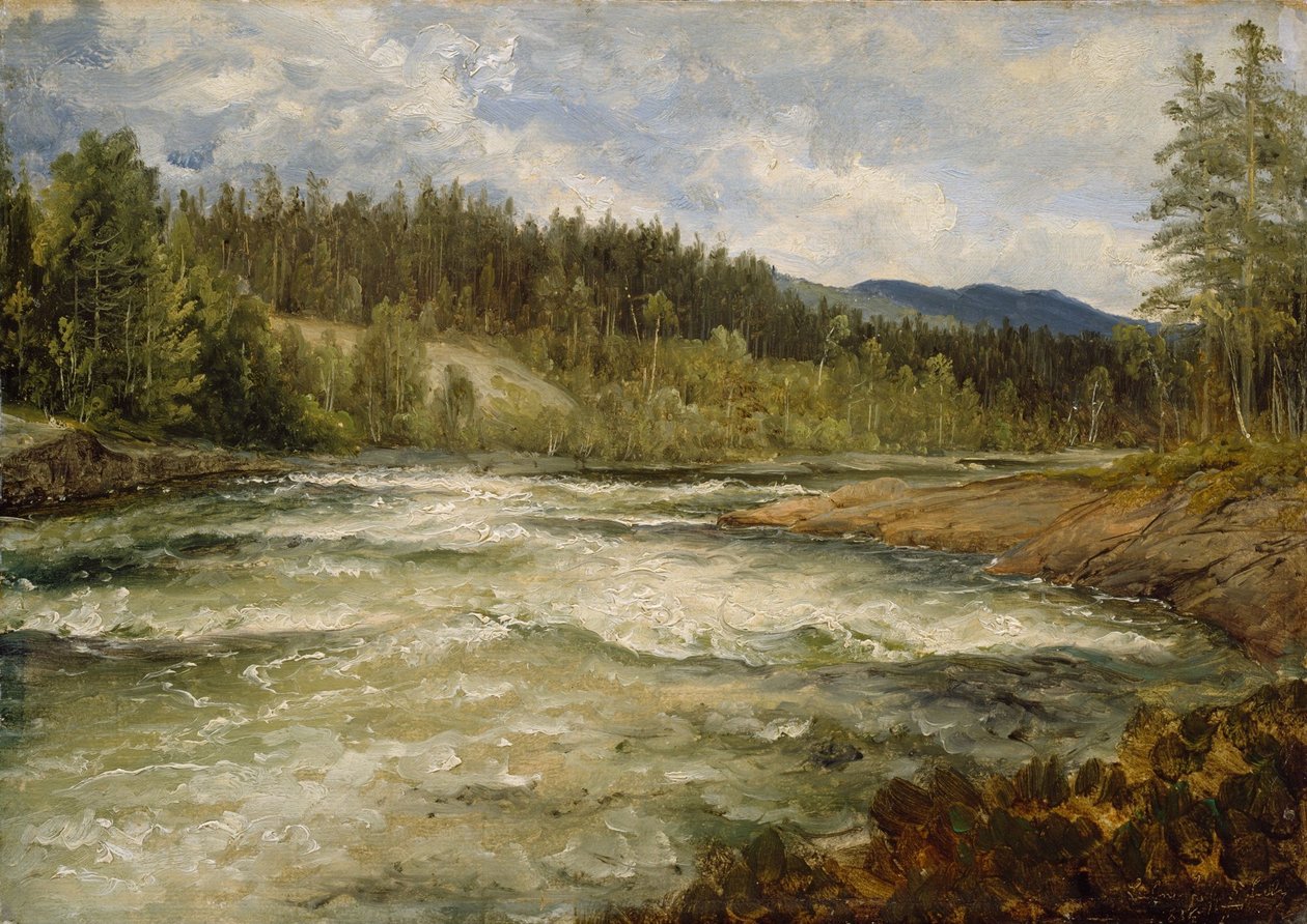 Da Labrofossen da Thomas Fearnley