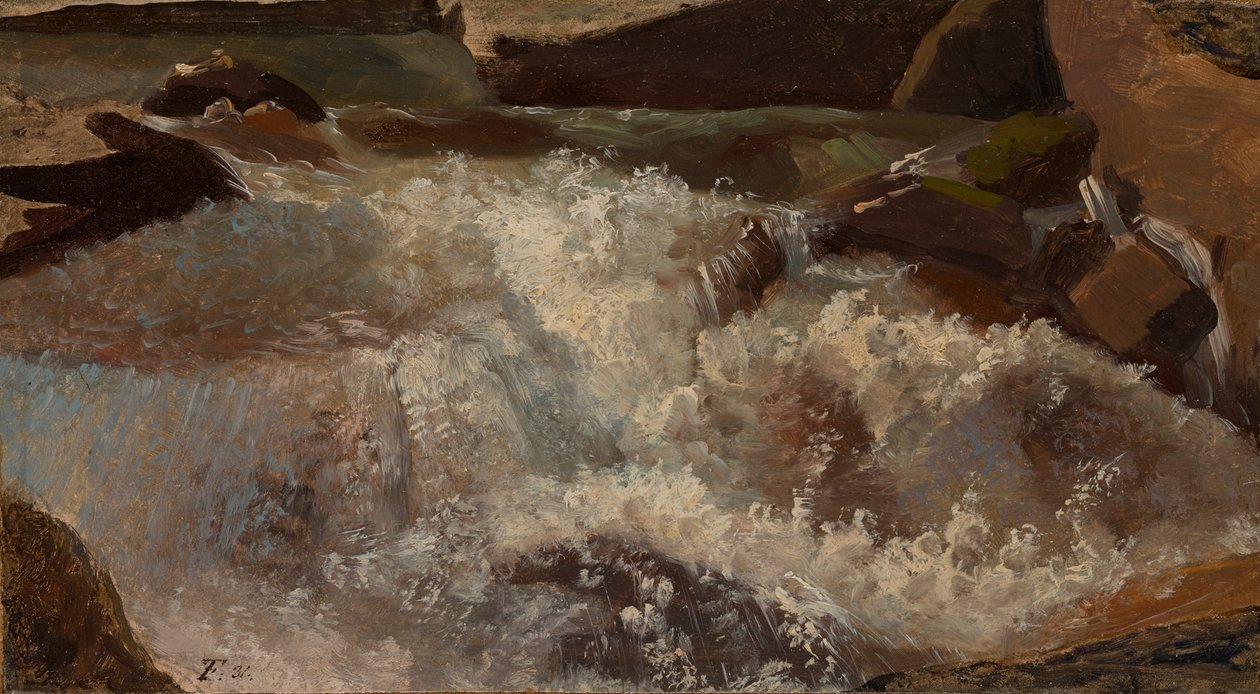 Acque impetuose. Studio naturalistico da Thomas Fearnley