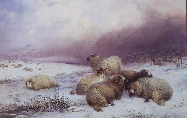 Paesaggio invernale con pecore da Thomas Francis Wainewright